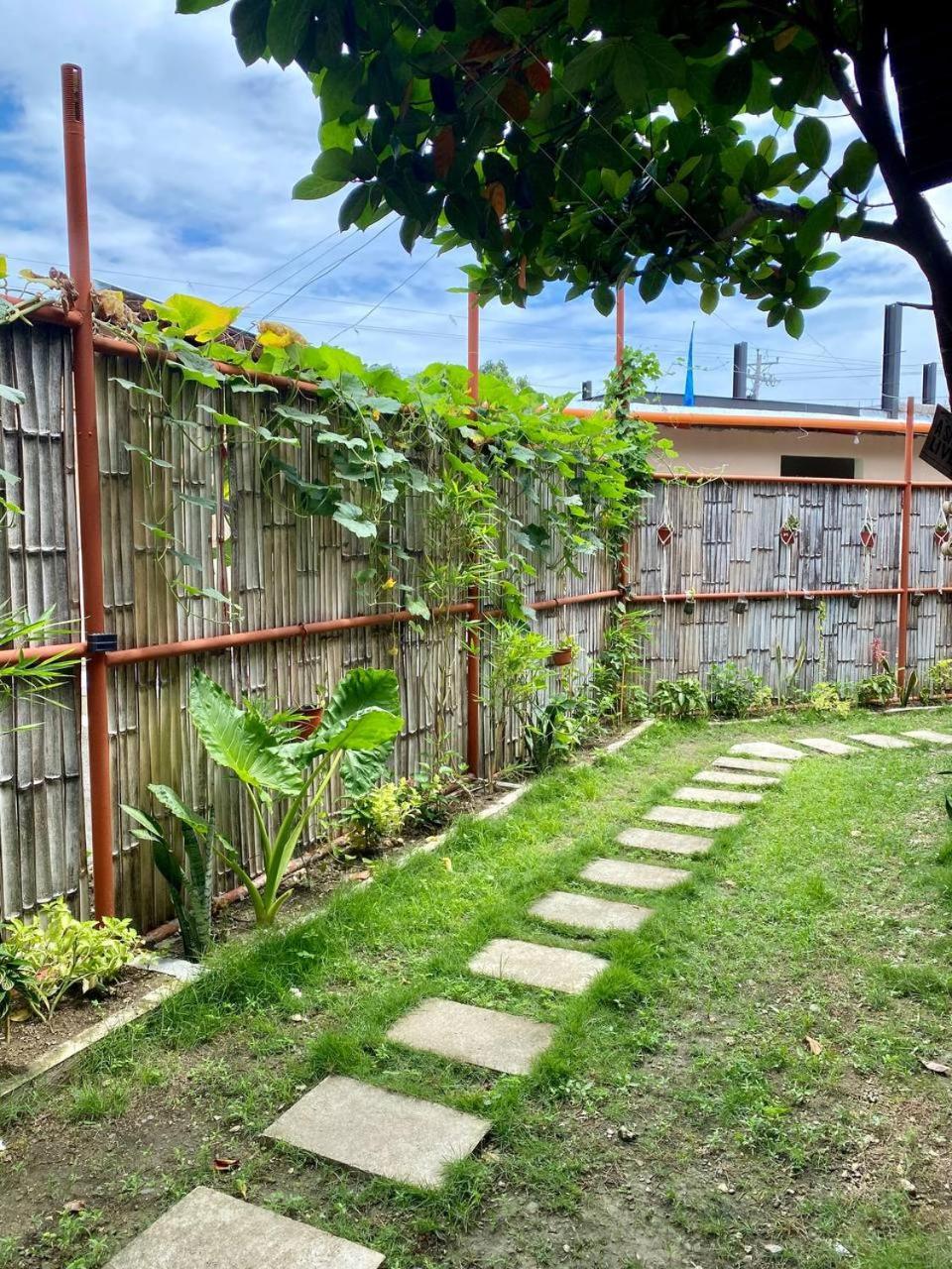Moalboal Panagsama Beach Topbudz Hostel Bagian luar foto